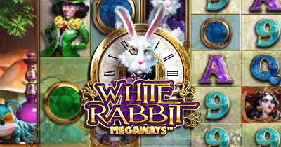 White Rabbit